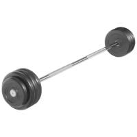 Набор спортивных штанг MB Barbell неразборная MB-BarMW-B