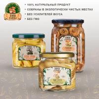 Набор из 3-х видов грибов (рыжики, маслята, белые грибы), 