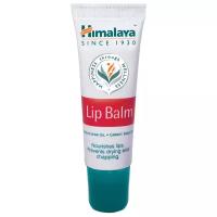 Himalaya Herbals Бальзам для губ с маслом семян моркови Lip Balm