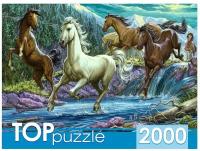 TOPpuzzle. Пазлы 2000 элементов. ХТП2000-1594 Ночной табун лошадей