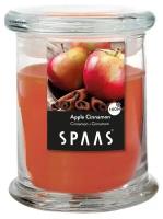 Свеча Spaas Apple Cinnamon в стакане