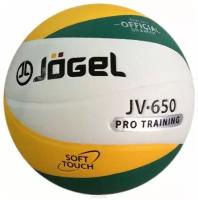 Мяч волейбольный Jögel Jv-650