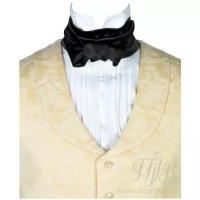 Мужской галстук 19 века черный