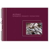 Журнал проведения вводного инструктажа (по ТБ, от, пож.безопасн.и др.) 2313 3 шт