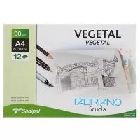 Калька худ А4 210*297 Fabriano Vegetal 12л 90г/м конверт F74233272 1801520