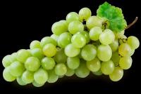 Виноград без косточек зеленый