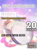 Туя западная - пудра для волос Аурасо, для создания быстрого прикорневого объема, универсальная, парфюмированная, натуральная, унисекс, 20 гр