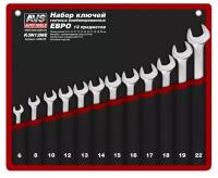 Набор ключей гаечных комбинированных в сумке (6-22 мм) (12 предметов) (евро) AVS K3N12ME