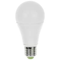 Лампа светодиодная LED-A65-standard 24Вт 230В Е27 3000К 2160Лм ASD