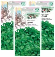 Комплект семян Кресс-салат Дукат серия Урожай на окне х 3 шт