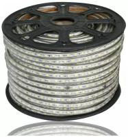 Светодиодная лента Ecola PRO, 12В, SMD5050, 5 м, IP65, 7.2Вт/м, 30 LED/м, RGB