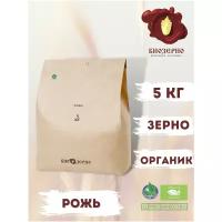 Рожь БиоЗерно органическая 5 кг