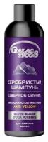 GALACTICOS Серебристый, северное сияние