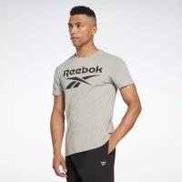 Футболка Reebok RI Big Logo Tee