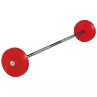 Набор спортивных штанг MB Barbell неразборная MB-BarMW-C