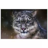 Постер на холсте Леопард (Leopard) №5 62см. x 40см