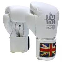 Боксерские перчатки Hatton Skills Silver White