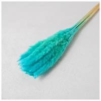 Сухоцвет «Камыш» набор 15 шт, цвет голубой