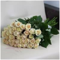 35 кремовых роз Талея 40 см