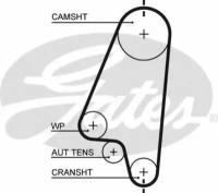 Ремень ГРМ Chevrolet Aveo/Kalos / Daewoo Kalos/Lanos/Nexia / Opel Astra/Combo/Corsa/Kadett/Vectra/Meriva Gates 5310XS