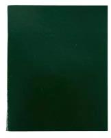 Тетрадь 96 листов LITE А5 в клетку, обложка из бумвинила, на скрепке, зеленая