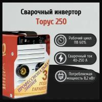 Сварочный аппарат инверторный торус 250