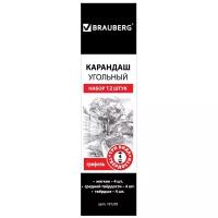 BRAUBERG Карандаши угольные Art Classic 12 шт. (181293) черный