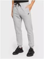 Брюки/4F/H4Z22-SPMD351-27M/MEN'S TROUSERS/серый/L