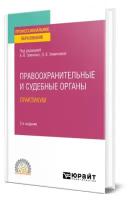 Правоохранительные и судебные органы. Практикум