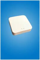 Шлюз (gateway) Zigbee на 50 устройств (беспроводной)