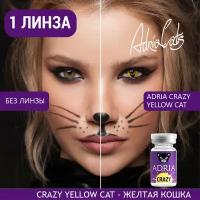 Контактные линзы цветные ADRIA, Adria Crazy, Квартальные, YELLOW CAT, -0,00 / 14 / 8,6 / 1 шт