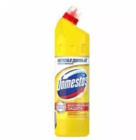Универсальное чистящее средство Domestos 