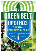 Прогноз Green Belt 5 мл