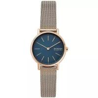 Наручные часы SKAGEN SKW2837