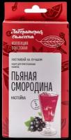 Лаборатория самогона Набор трав и специй для настойки Пьяная смородина, 73 г, картонная упаковка