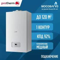 Газовый настенный котел Protherm Пантера 12 KTO (одноконтурный) - 12 кВт