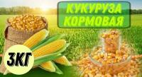 Кукуруза кормовая 3кг