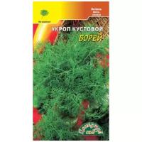 Укроп Борей кустовой 2г (Цвет сад) - 10 ед. товара