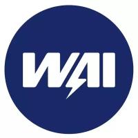 WAI 38-9100 Щетка генератора угольная