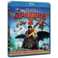 Как приручить дракона 2 (Blu-ray)