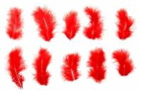 Набор перьев для декора 10 шт., размер 1 шт: 10 x 2 см, цвет красный