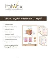 Italwax Набор плакатов для обучающих студий 50*70 см 10 шт