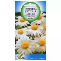 Семена Ромашка Аляска 70шт для дачи, сада, огорода, теплицы / рассады в домашних условиях