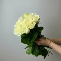Живые цветы букет роз 9 шт. 50 см. белые