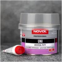 Шпатлевка автомобильная полиэфирная Novol Professional Universal Putty банка 250г + отвердитель Betox-50PC туба 8г (шпатлевка автомобильная) 1100