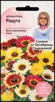 Хризантема Радуга 0,5 г, семена для выращивания однолетних цветов для сада дачи и дома, однолетние цветы для балкона и горшков