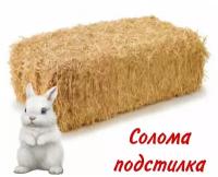 Солома подстилка для Животных