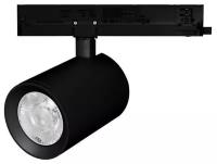 Трековый светильник-спот Arlight LGD-NIKA-4TR-R100-30W Day4000 031172, цвет арматуры: черный, цвет плафона: черный