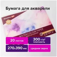 Альбом для акварели, бумага 300 г/м2, 270х390 мм, среднее зерно, 20 листов, склейка, BRAUBERG ART PREMIERE, 113223