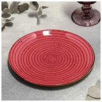 Тарелка обеденная «Ардент», d=21 см, цвет красный